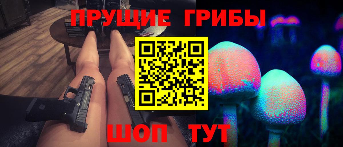 Нерюнгри  Галлюциногенные грибы Psilocybine cubensis  Вход с VPN 